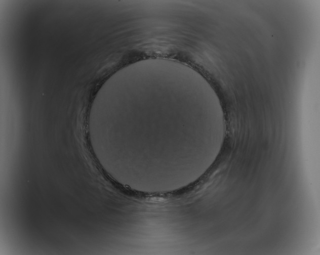 X0000088471297200706191340