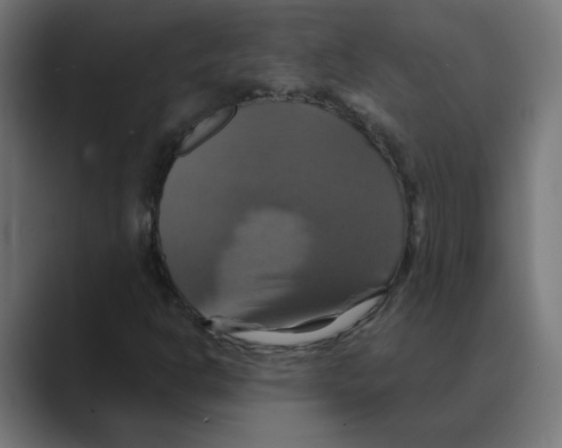 X0000088471302200706191340