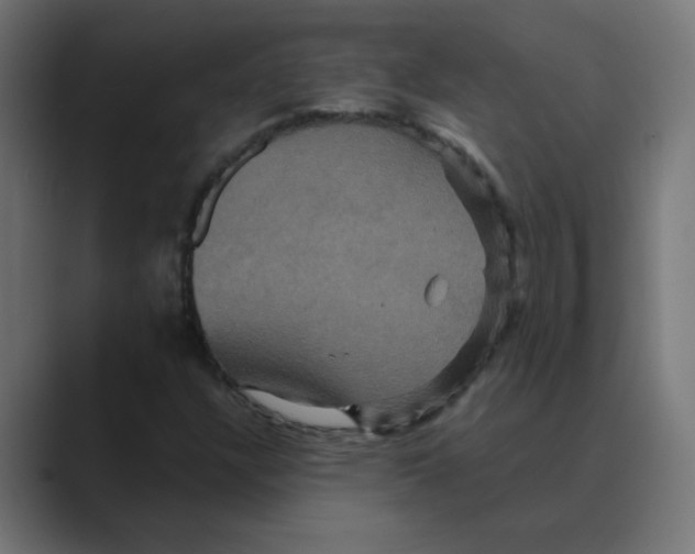 X0000088471304200706191340