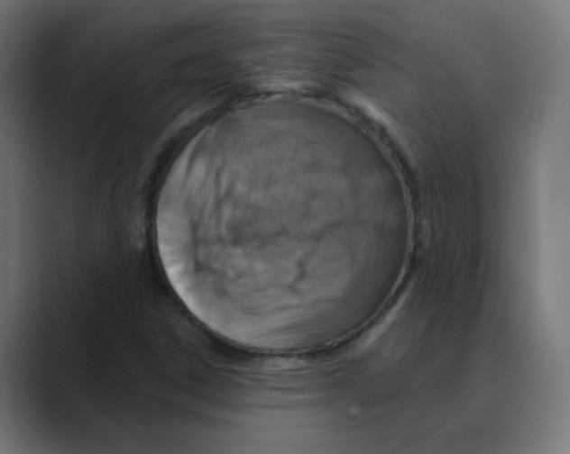 X0000088471306200706191340