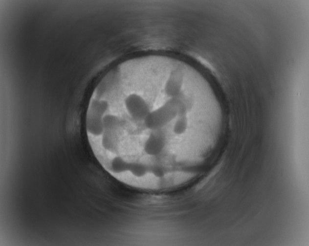 X0000088471309200706191340