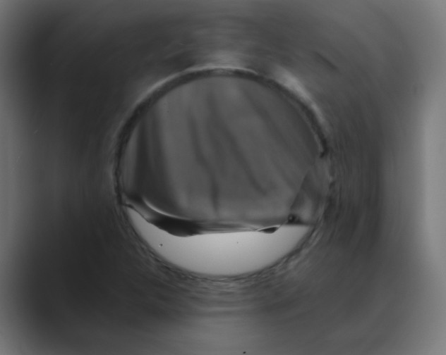 X0000088471312200706191340