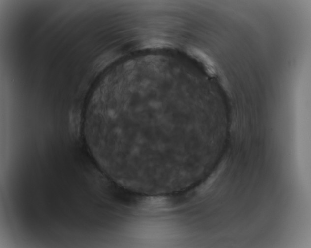 X0000088471313200706191340