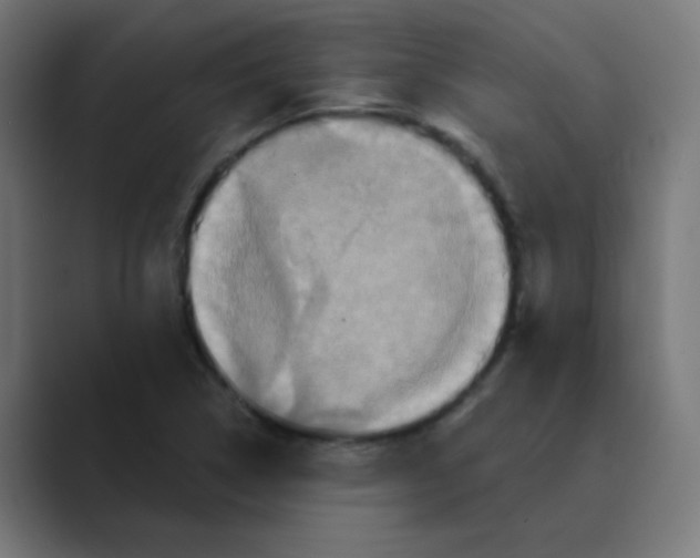 X0000088471314200706191340