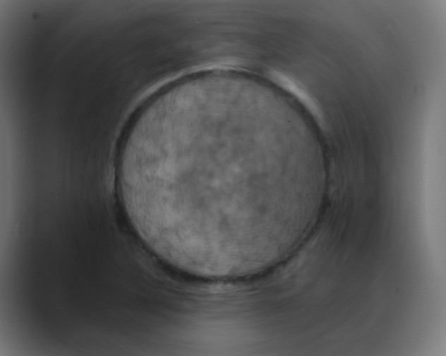 X0000088471316200706191340