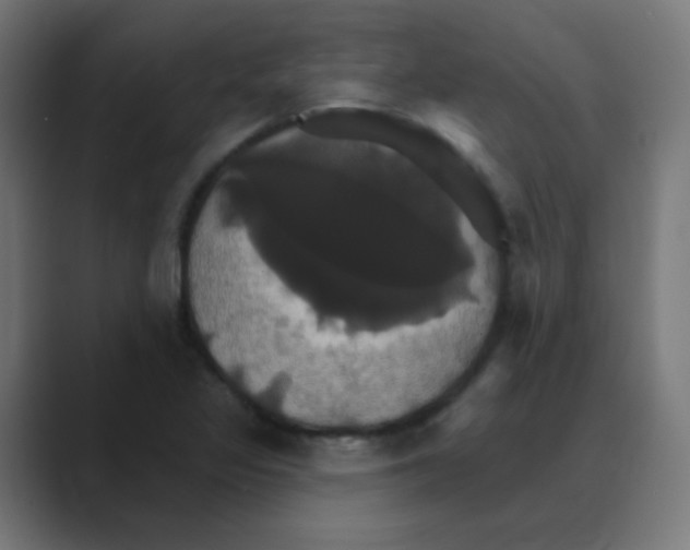 X0000088471317200706191340