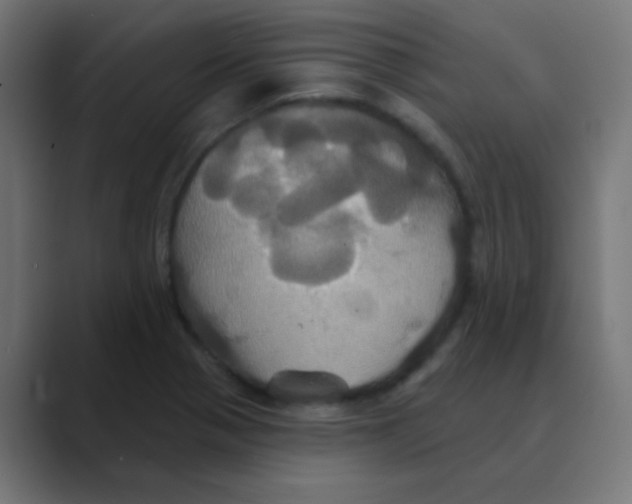 X0000088471321200706191341