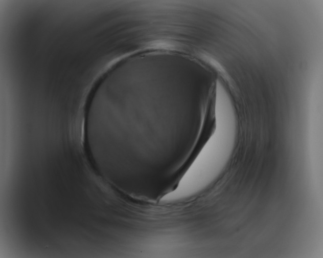 X0000088471323200706191341