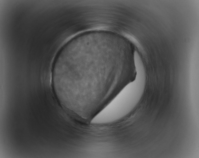 X0000088471324200706191341