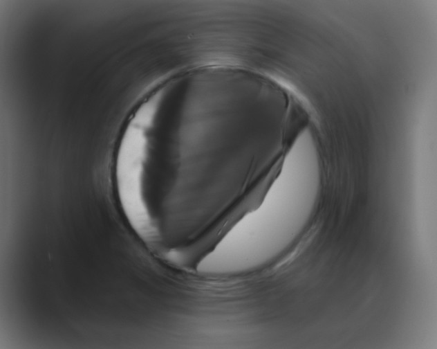 X0000088471325200706191341