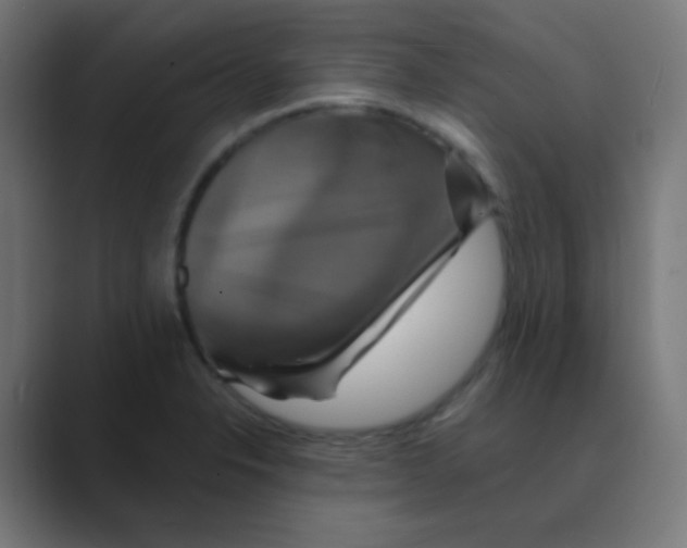 X0000088471326200706191341