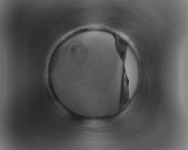 X0000088471327200706191341