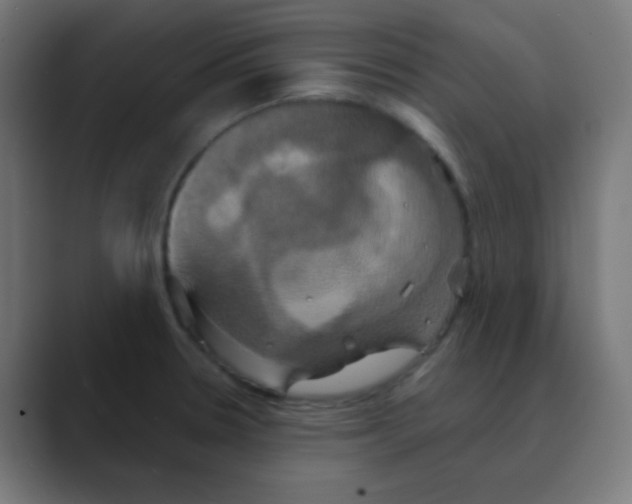 X0000088471330200706191341