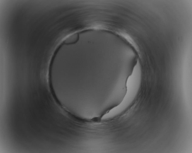 X0000088471331200706191341