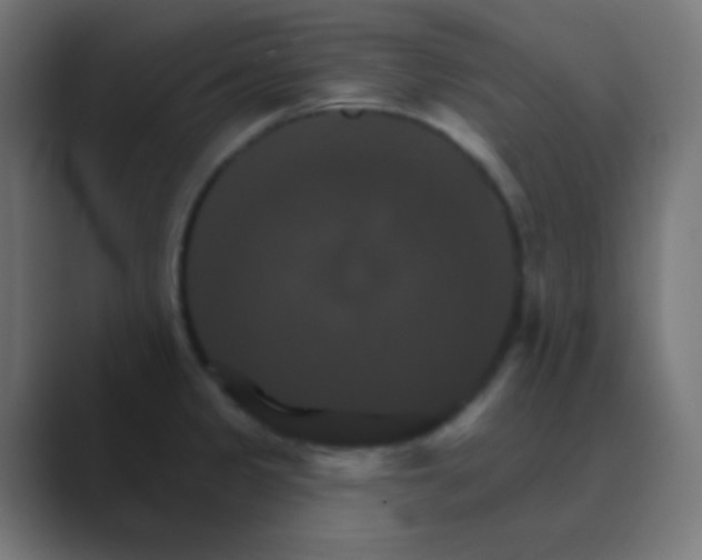 X0000088471333200706191341