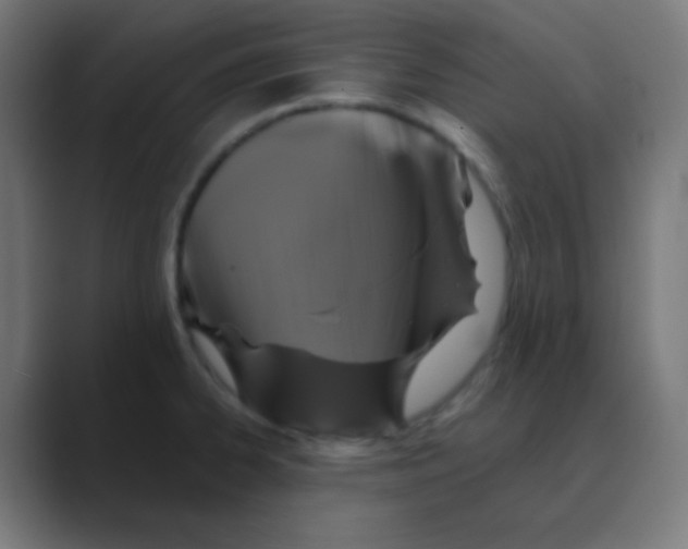 X0000088471334200706191341