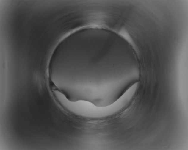 X0000088471335200706191341