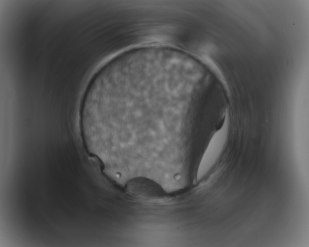 X0000088471336200706191341