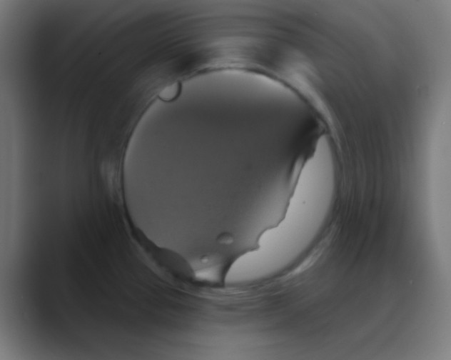 X0000088471337200706191341