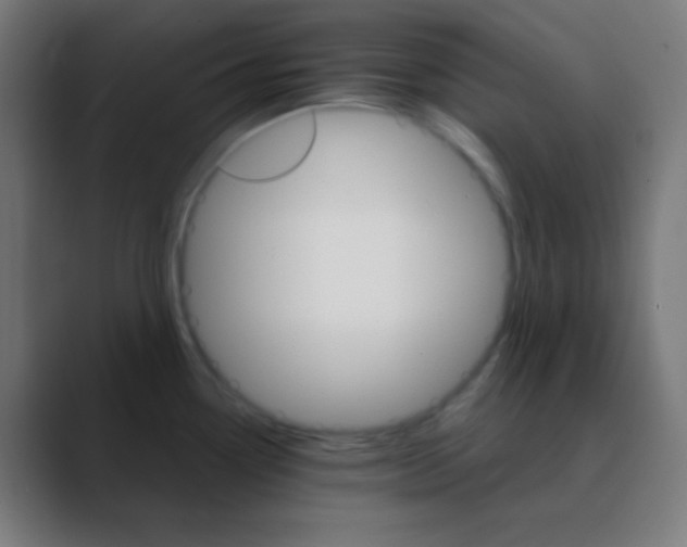 X0000088471338200706191341