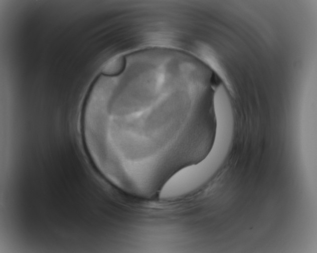 X0000088471339200706191341