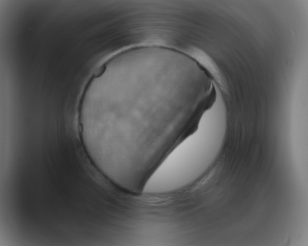 X0000088471340200706191341