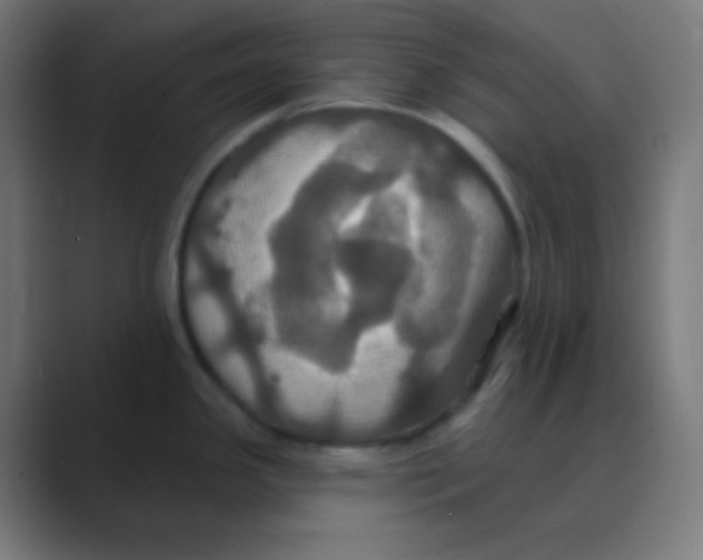 X0000088471341200706191341