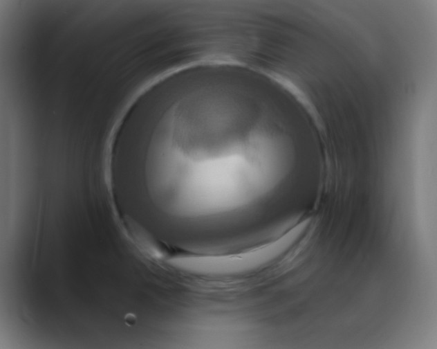 X0000088471342200706191341