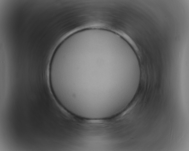 X0000088471343200706191341