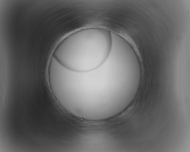 X0000088471344200706191341