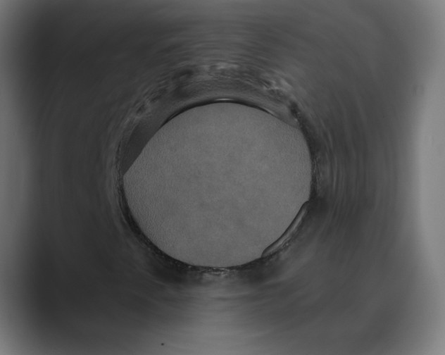 X0000088471345200706191340