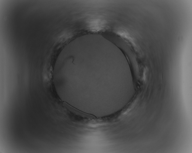 X0000088471349200706191340