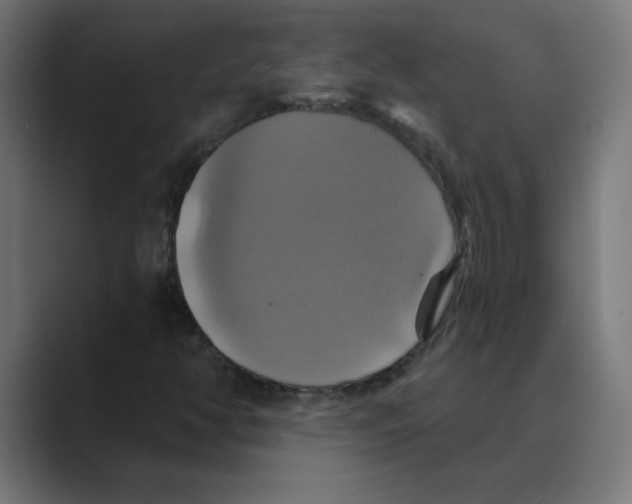 X0000088471350200706191340