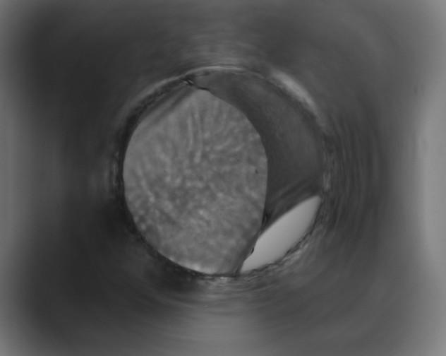 X0000088471352200706191340