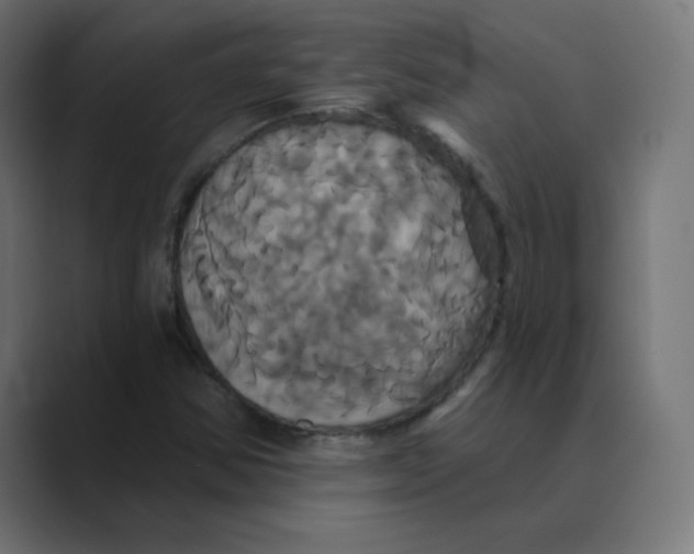 X0000088471354200706191340