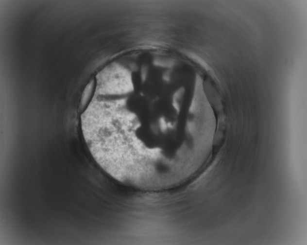 X0000088471355200706191340