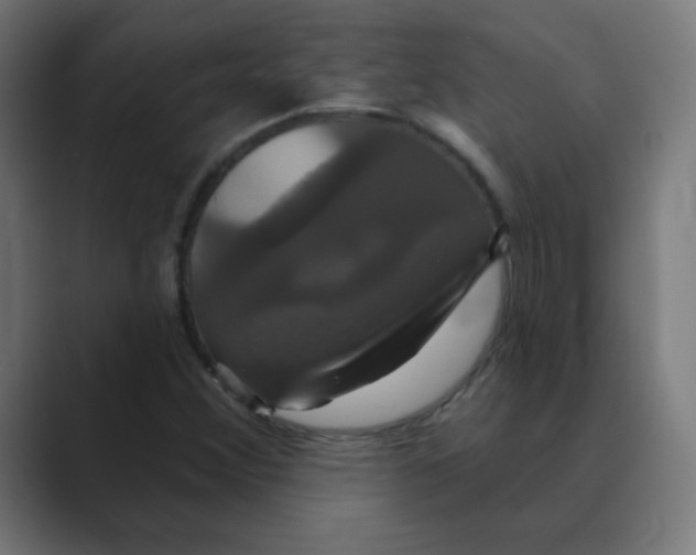 X0000088471356200706191340