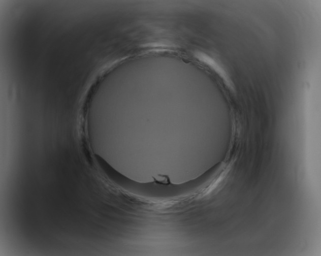 X0000088471357200706191340