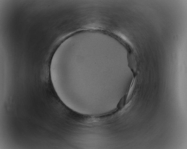 X0000088471358200706191340