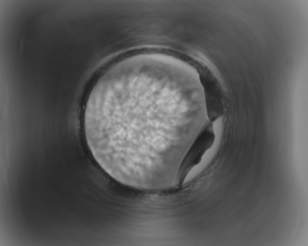 X0000088471360200706191340