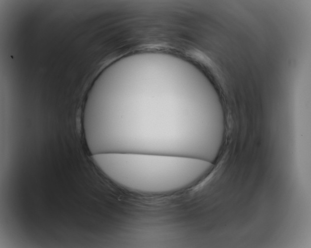 X0000088471361200706191340