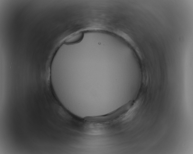 X0000088471366200706191340