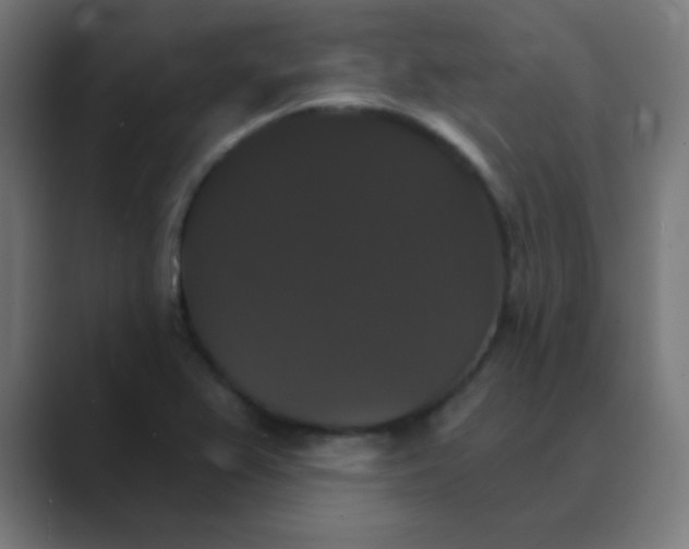 X0000088471367200706191340