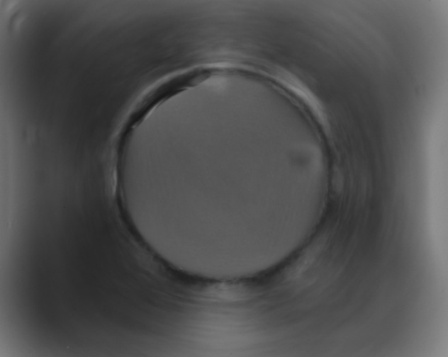 X0000088471368200706191340