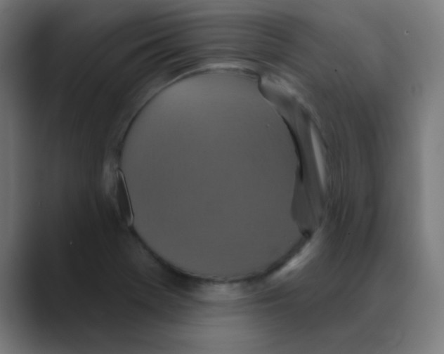 X0000088471369200706191340