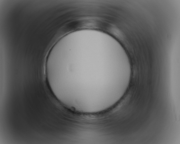 X0000088471370200706191340