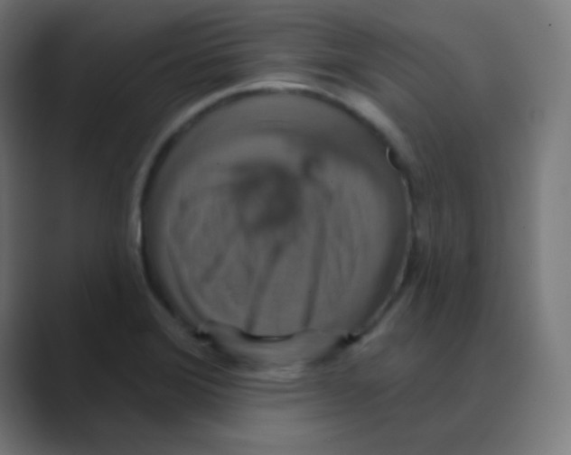 X0000088471372200706191340