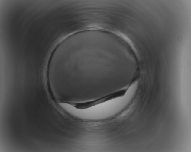 X0000088471373200706191340