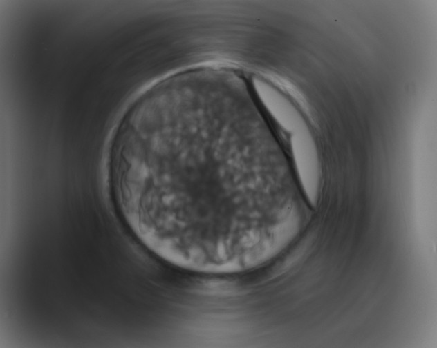 X0000088471375200706191340