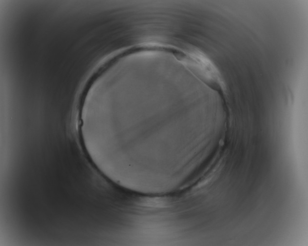 X0000088471376200706191340